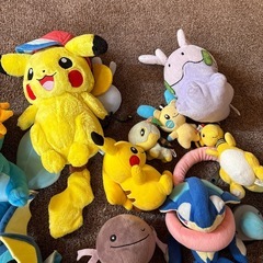 決まりました！ぬいぐるみ　ポケモンまとめの画像