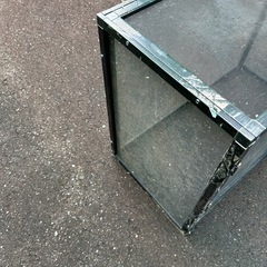 爬虫類　ケージ
の画像