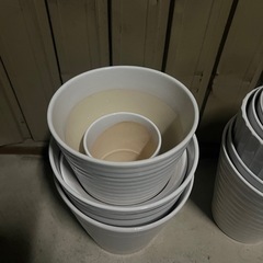 植木鉢　陶器　胡蝶蘭を入れていましたの画像