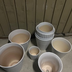 植木鉢　陶器　胡蝶蘭を入れていましたの画像