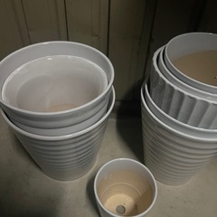 植木鉢　陶器　胡蝶蘭を入れていましたの画像