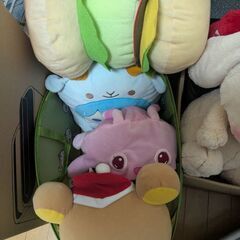 ぬいぐるみの画像