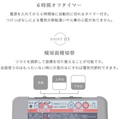 ホットカーペット　2畳用の画像