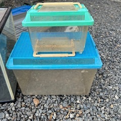 水槽　色々セットの画像