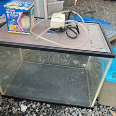 水槽　色々セットの画像