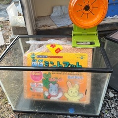 水槽　色々セットの画像