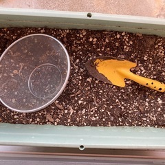 プランター、コンポスト、ベランダ菜園の画像