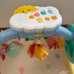 プーメリー　の画像