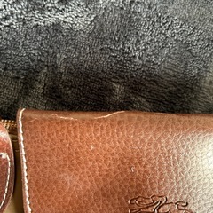 ロンシャン　バックの画像