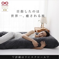 ハグモッチ抱き枕　正規品　ベロアグレー　コットンブルー　未使用カバー付きの画像