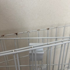 犬のゲージの画像