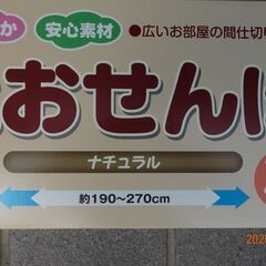 柵（とおせんぼ）補修必要の画像