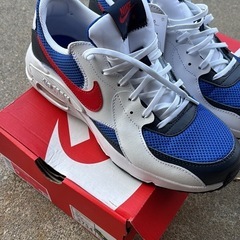 NIKE  エアマックスの画像