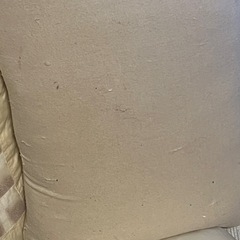 枕 3個まとめて／無料でお譲りします（使用感あり・猫の引っかき跡あり）の画像