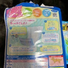 ペット用品パンツの画像