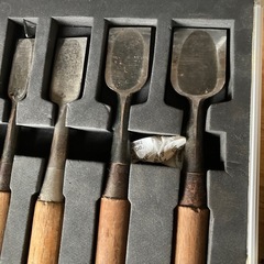 組みノミの画像