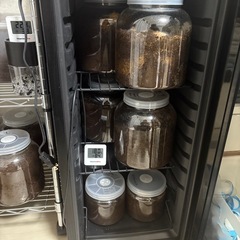 ヘラクレスOAKS 3齢幼虫　飼育引退の画像