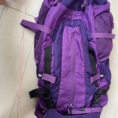 【中古】テルス30_M_ノースフェイスの画像