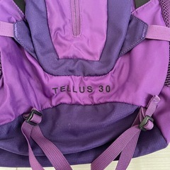 【中古】テルス30_M_ノースフェイスの画像