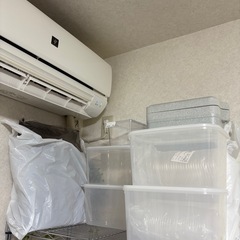 ヘラクレスOAKS 3齢幼虫　飼育引退の画像