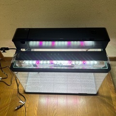 中古60水槽セット
の画像