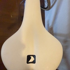 ルイガノ セッター8  　の画像