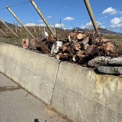 薪　木材　の画像