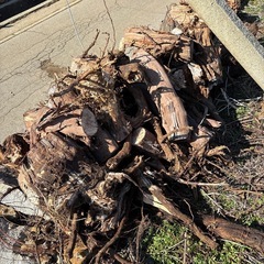 薪　木材　の画像