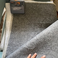 昨年11月購入のホットカーペット1畳の画像