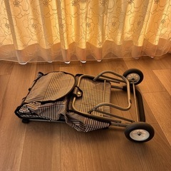 キャリーバッグの画像