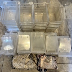 【菌糸プレス機付】昆虫飼育セット！ケース、産卵材、菌糸ボトルの画像