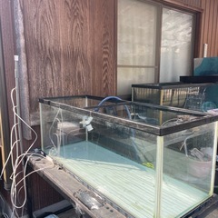 コトブキ水槽　1200の画像