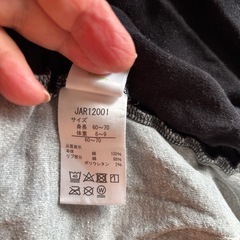 ミッキーの豚の画像