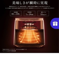 CAF-DC601-KJPR　コソリ　ノンフライヤー  エアフライヤー　コンボ　6L    の画像