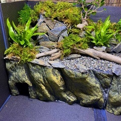 900水槽用水の流れる滝テラリウムレイアウトの画像