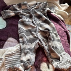 赤ちゃん豚の画像