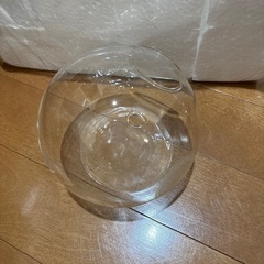 【もらってください！】観葉植物　壁掛け　水挿し　花瓶の画像