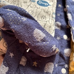 赤ちゃん豚の画像