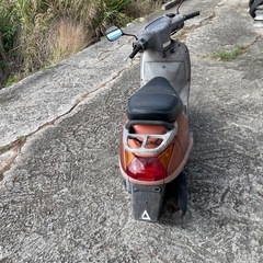 リード100の画像