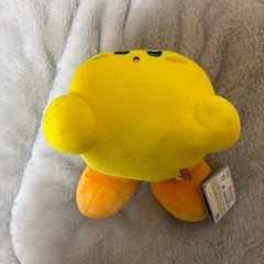 ヒトカゲとカービィぬいぐるみプライズ
の画像