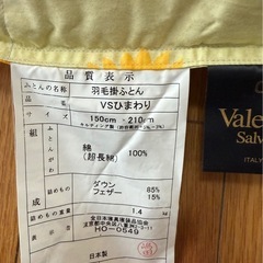 Valentino羽毛掛け布団の画像
