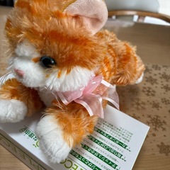ねこ　ぬいぐるみの画像