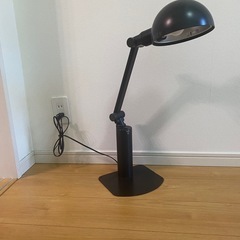 バイオライト　Type60の画像