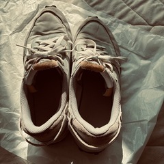 NIKE ワッフルデビュー　27cmの画像