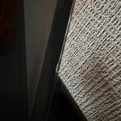 プライベートビエラ録画機能付きの画像