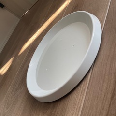 受け皿の画像
