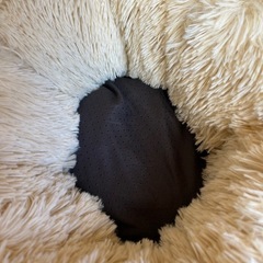 ペット用ベッドの画像