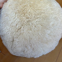 ペット用ベッドの画像