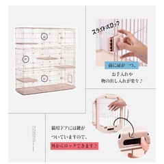 猫　ゲージの画像