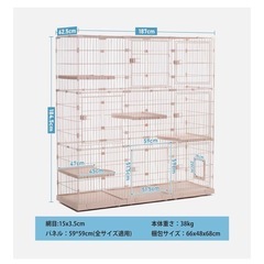 猫　ゲージの画像